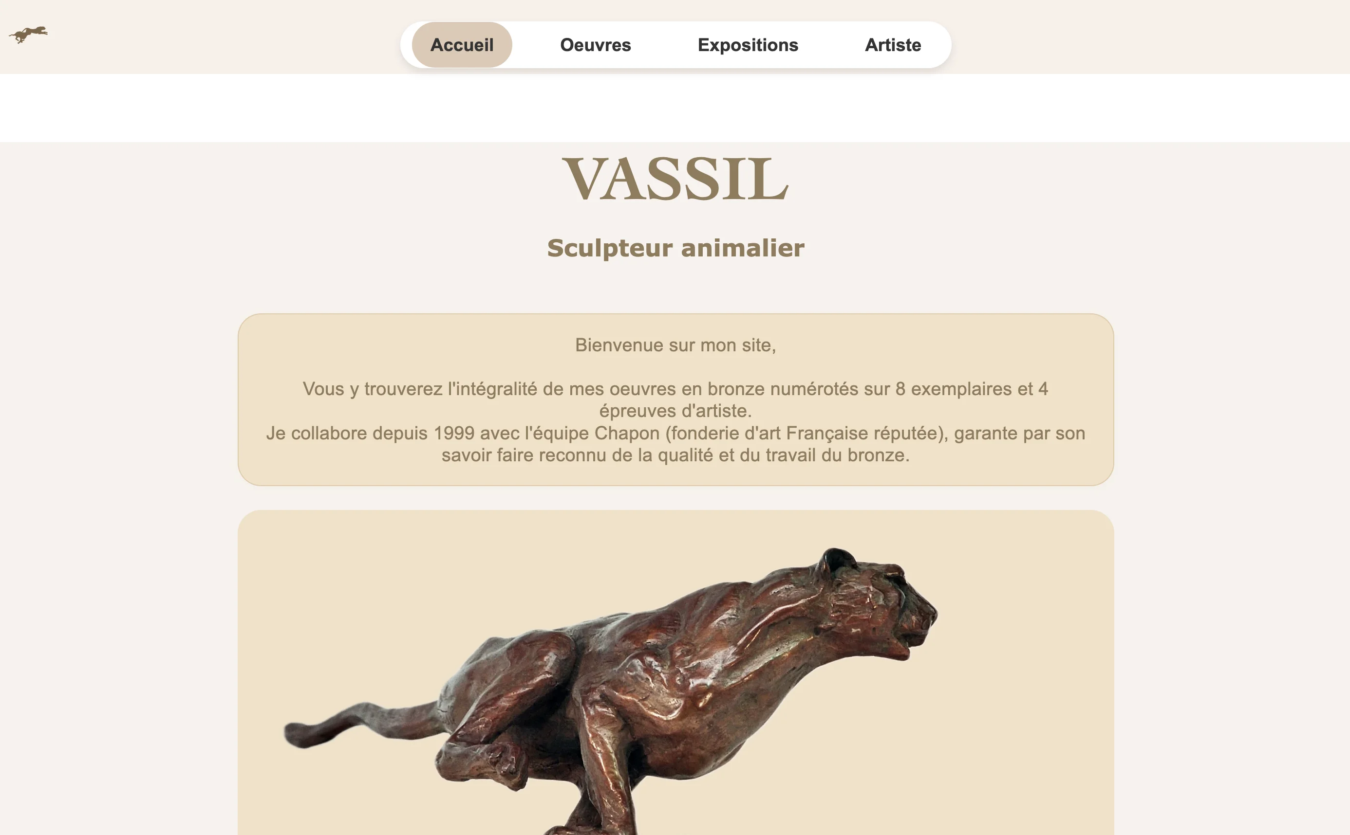 Aperçu du site Vassil.fr